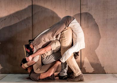 cirque toulouse
