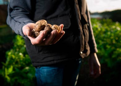 agriculteur