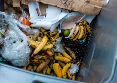 gaspillage alimentaire