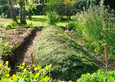permaculture
