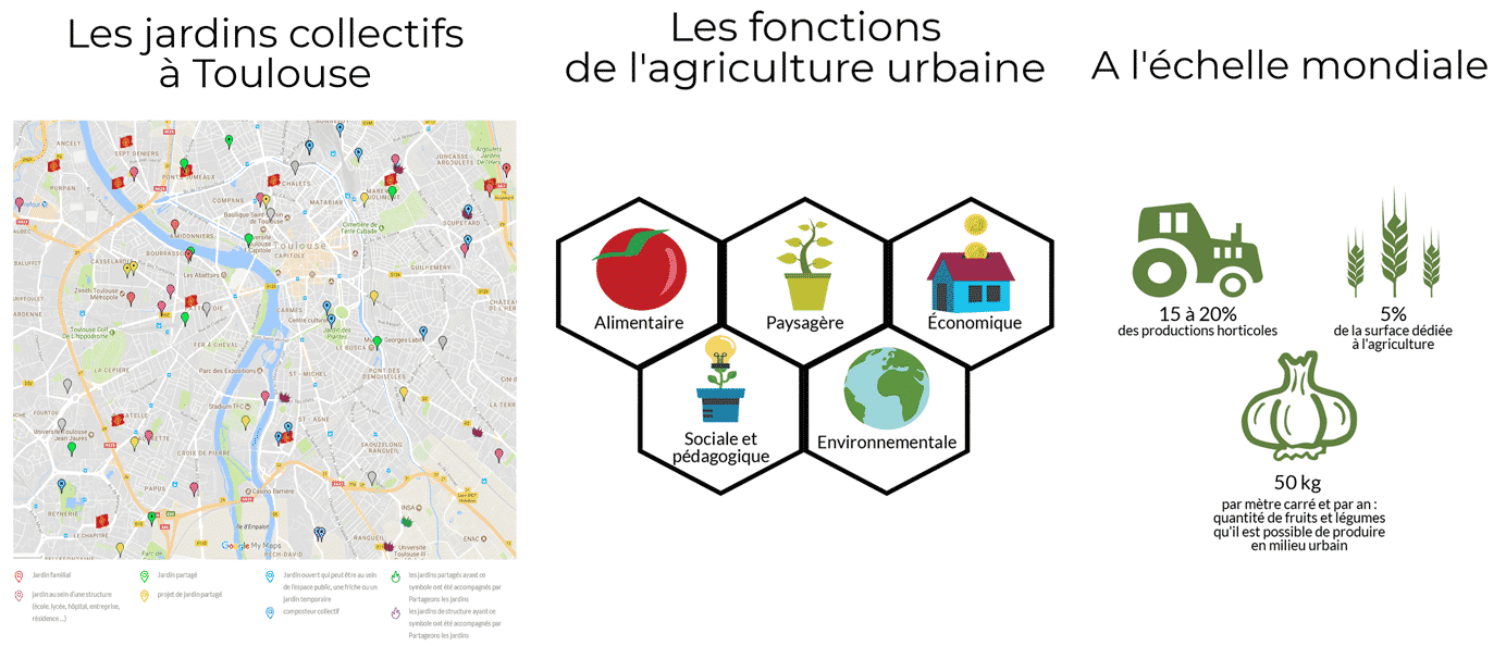 Sources : FAO (Organisation des nations unies pour l'ailmentation et lagriculture), association Partageons les jardins