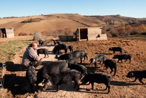 agriculteurs d'occitanie