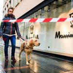 chiens guides d'aveugles toulouse