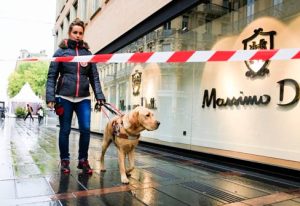chiens guides d'aveugles toulouse