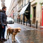 chiens guides d’aveugles