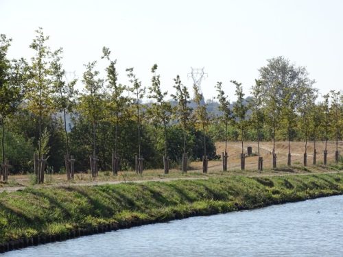 SAUVER CANAL DU MIDI