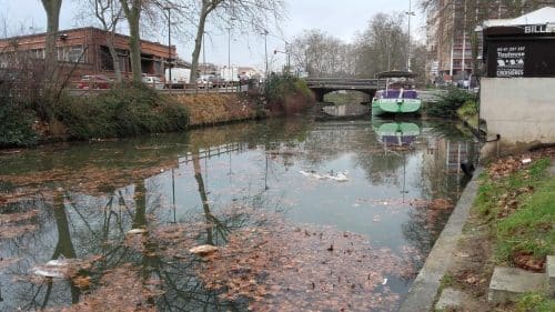 nettoyage canal du midi