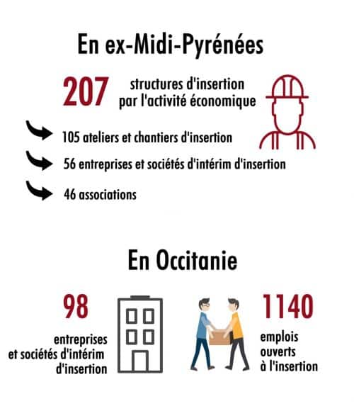 insertion professionnelle