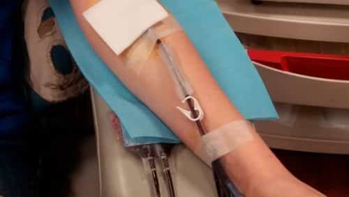 don de plasma