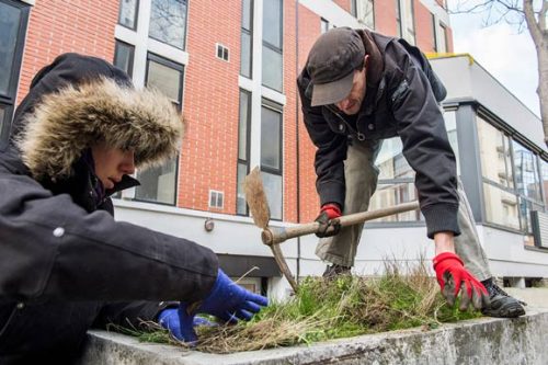 les incroyables comestibles potagers toulouse