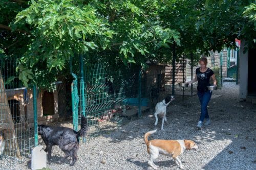 Betty Loiseau a Castelginest