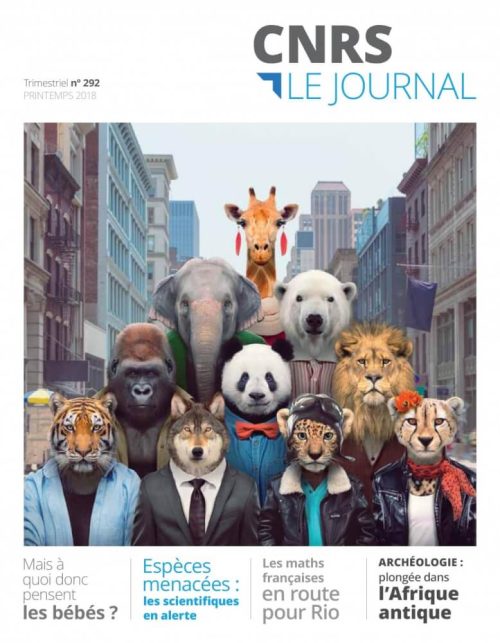 cnrs journal