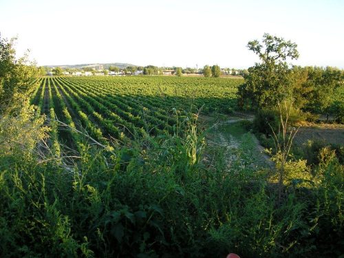 Le domaine de Candie près de Toulouse