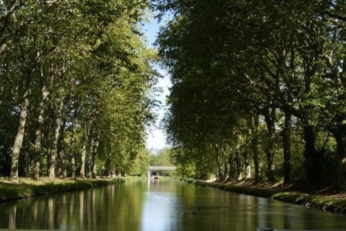 le Canal du Midi