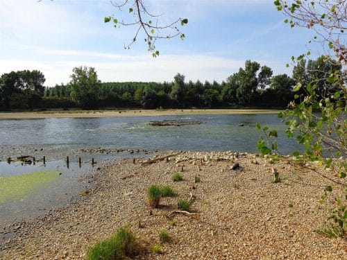 Garonne