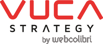 VUCA strategy base line gris