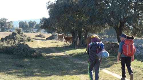 Pour retrouver le droit chemin l'association Seuil