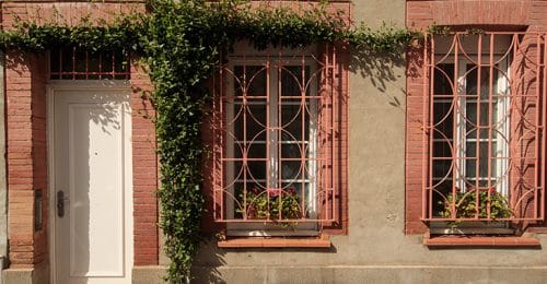 La mairie appelle les Toulousains à végétaliser les murs de la ville