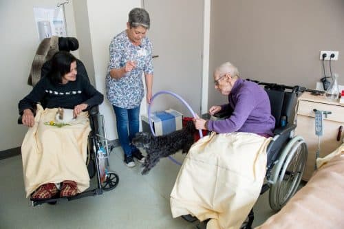 Hôpital Joseph-Ducuing : la médiation animale pour les personnes en fin de vie