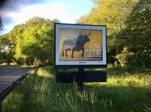 Affiches taureau