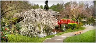 Jardin japonais Compans Caffarelli