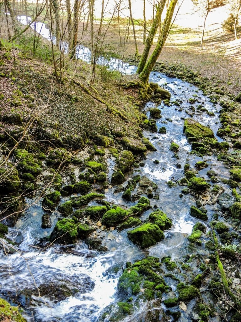 La préfecture de Haute-Garonne constate que les débits des cours d’eau cessent de baisser; grâce aux pluies de ces dernières semaines. Ruisseau Restriction eau Haute-Garonne©DamienCret