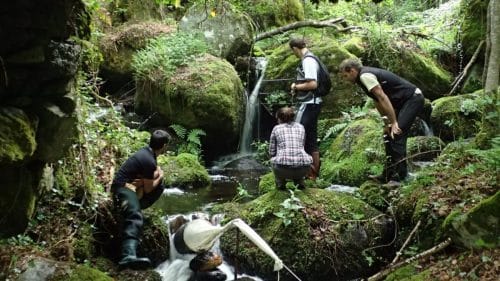 conservatoire espaces naturels Occitanie