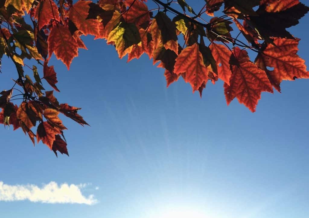 beau temps automne soleil Toulouse vendredi