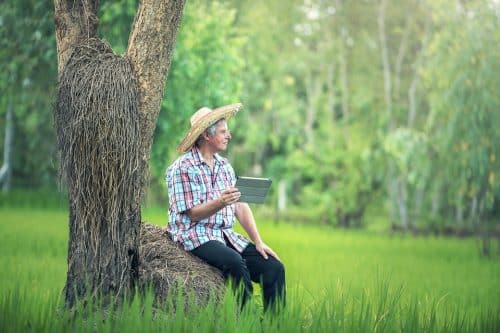 agriculteur avec un ordinateur ©sasint