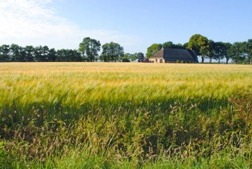 safer-stock-terres-agricoles