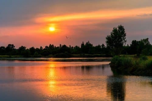 Lac de Bordeneuve Frouzins