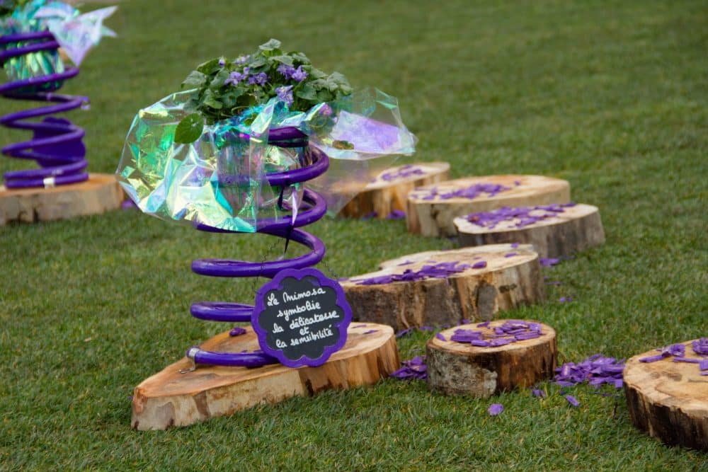 fete de la violette Toulouse