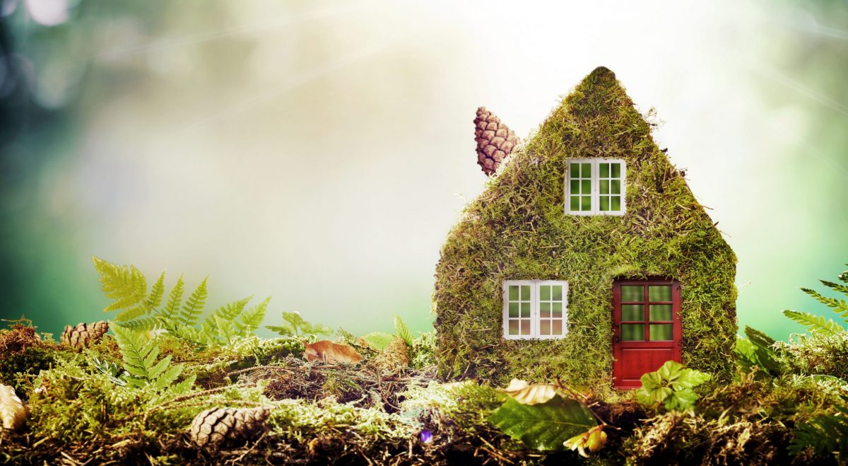 Maison écologique