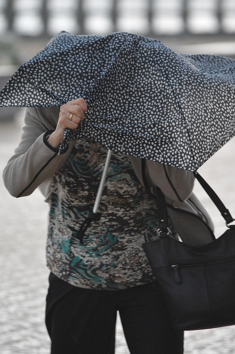 météo vent parapluie