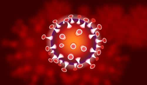 Le nombre de cas positifs au coronavirus ne cesse d’augmenter à l’Ehpad Bastide Médicis de Labège ©CC Iximus-Pixabay