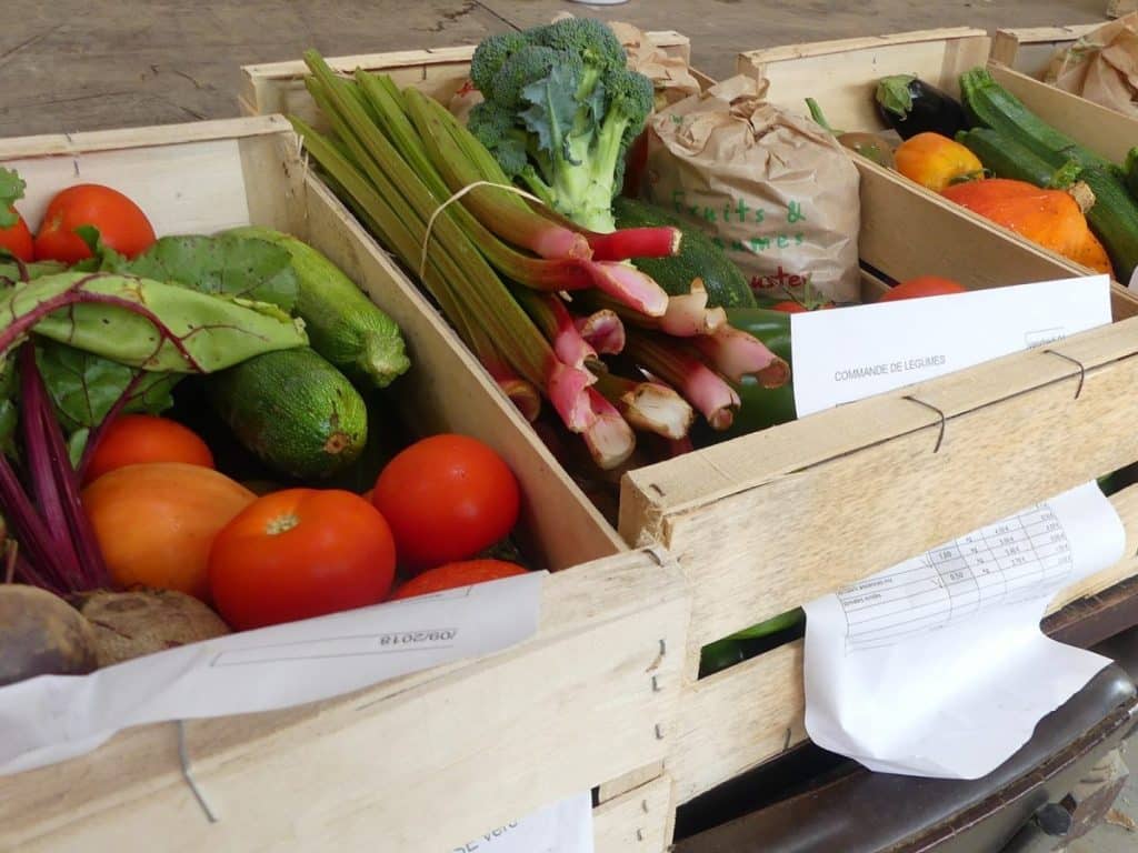 Fruits Et Légumes. Aliments De Ferme Bio De Dessin Animé