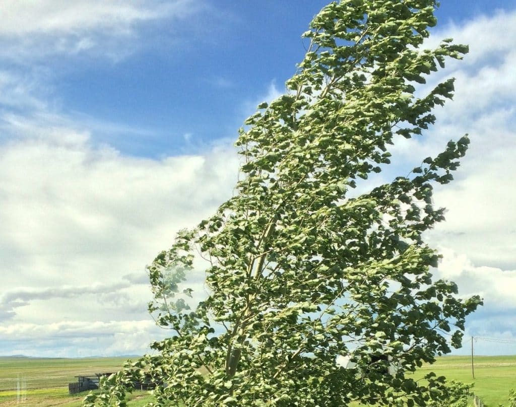 météo vent