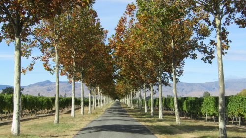rourte camapgne Occitanie declin demogrpahique
