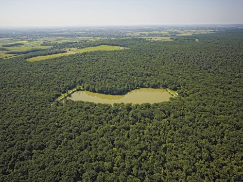 Classée Espace naturel sensible, la Forêt de Bouconne fera l'objet de mesures de protection et de gestion.