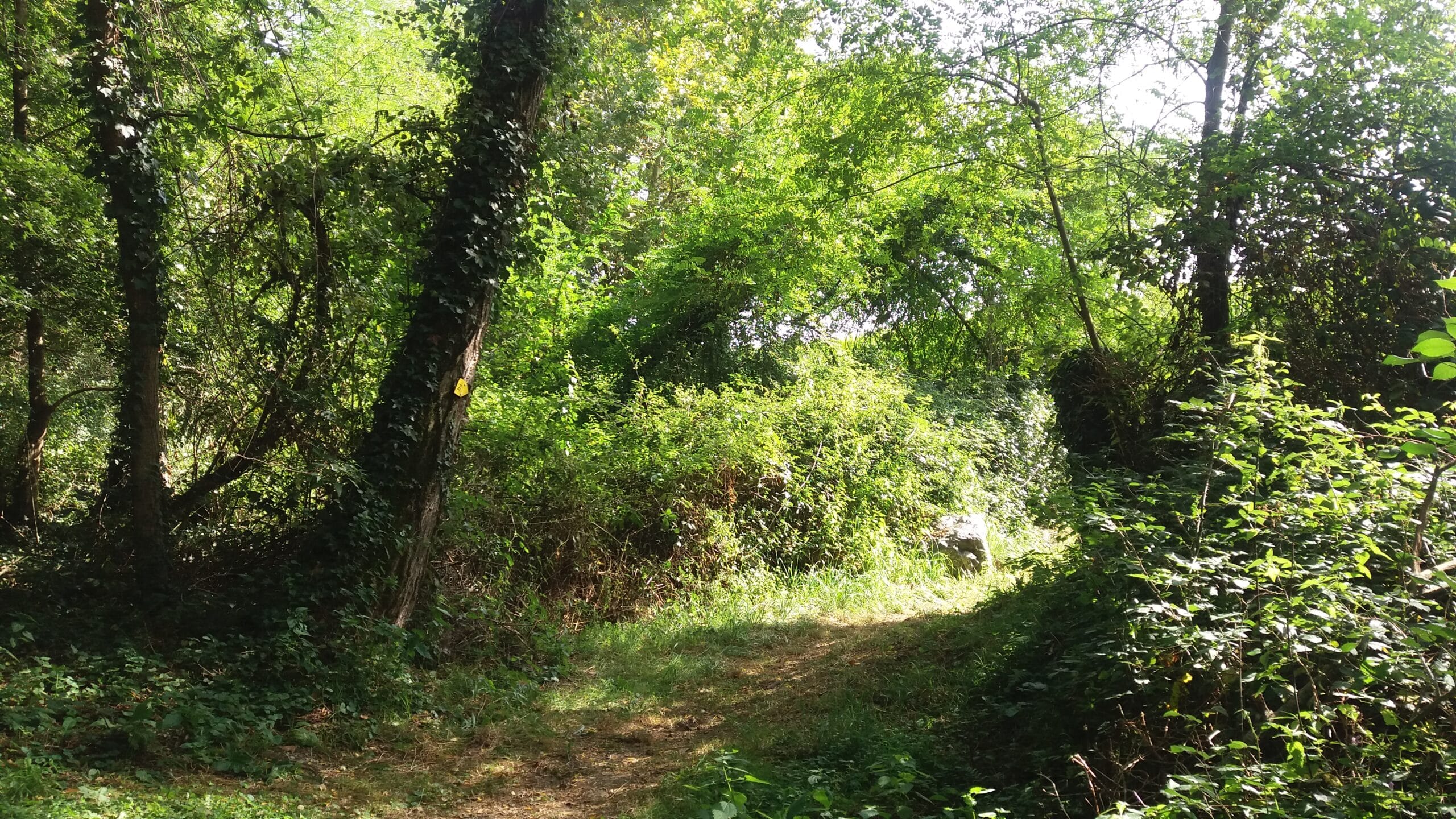 sentier de l'Adour
