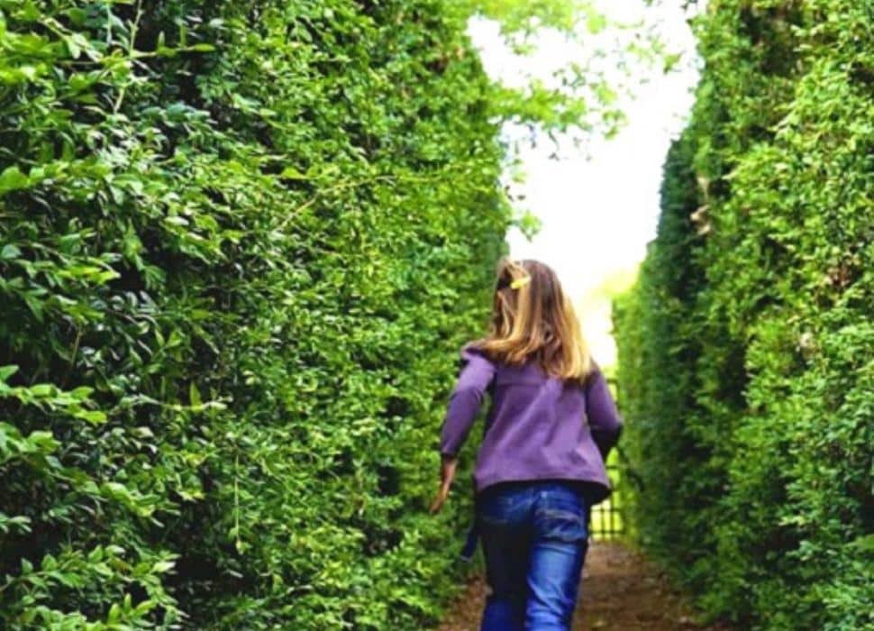 chateau-merville-credit-labyrinthedemerville