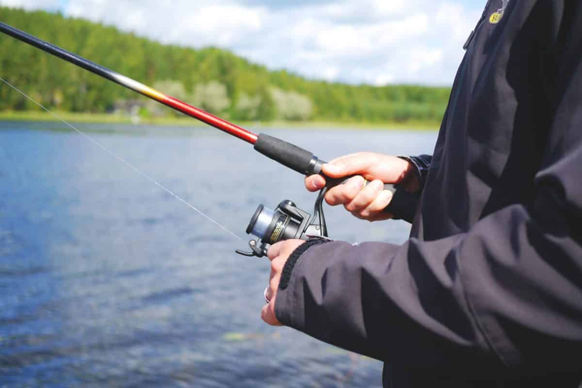 Comment pêcher le carnassier dans la Garonne ? - Toulouse Infos