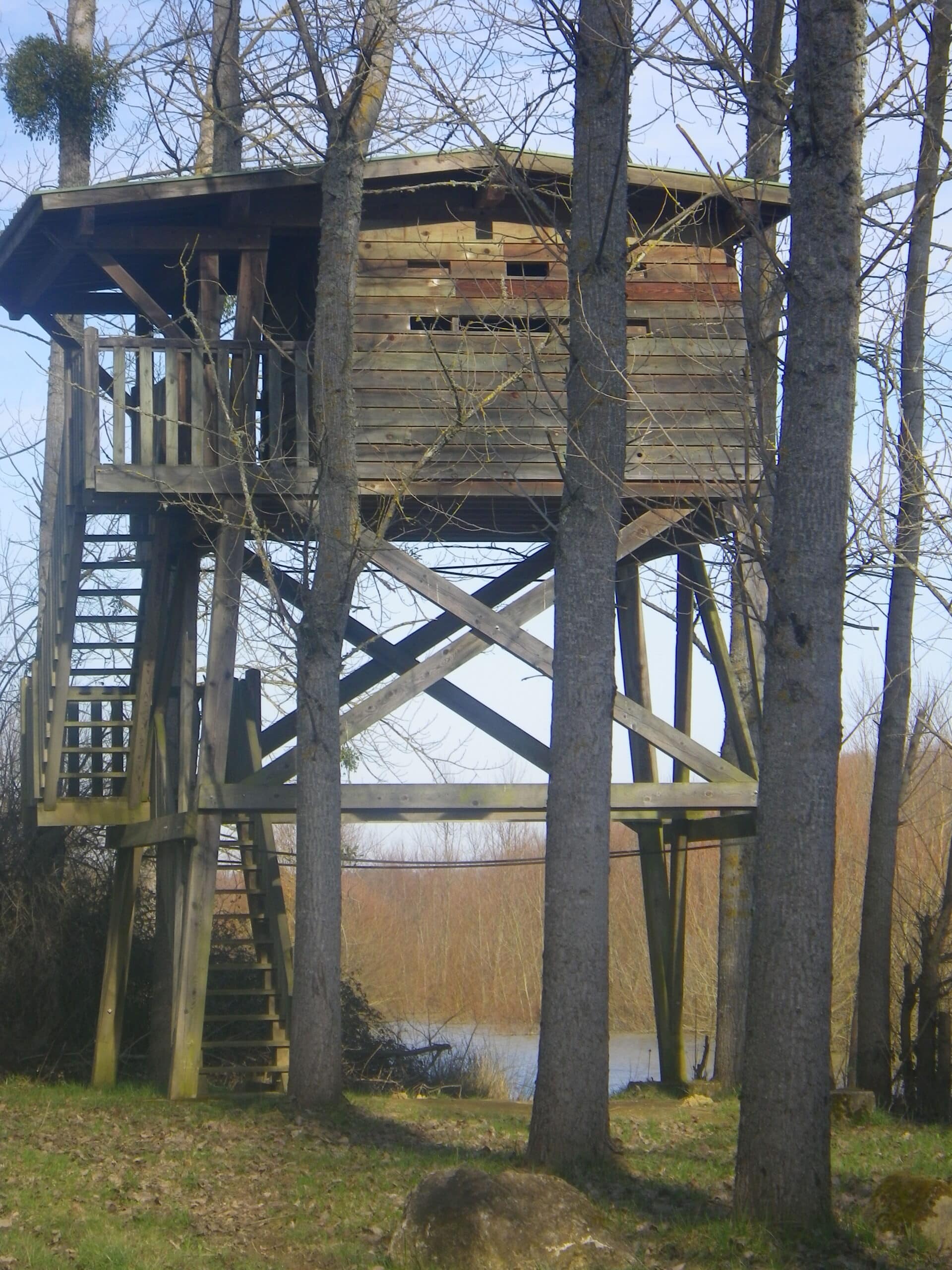 observatoire ornithologie