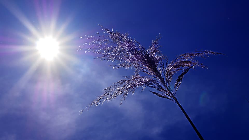 beau temps vendredi Toulouse