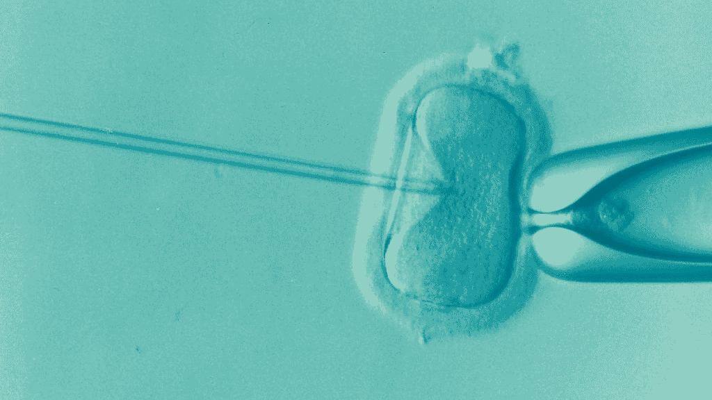 Les dons d'ovocytes et de spermatozoïdes sont encore insuffisants en Occitanie ©Elena Kontogianni