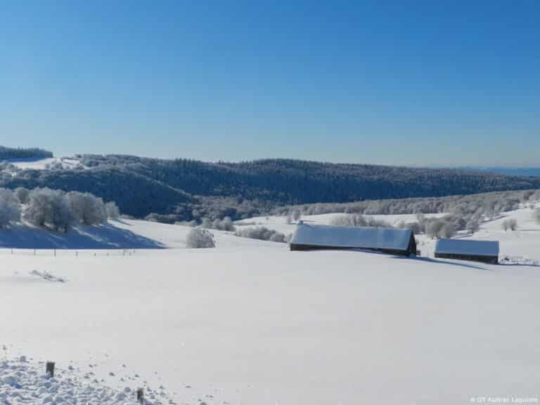 Laguile Aubrac