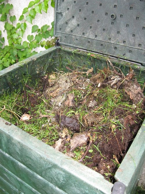 compost