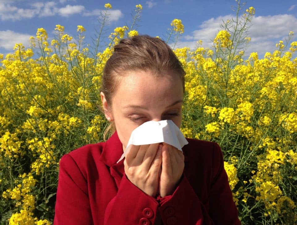 pollen toulouse