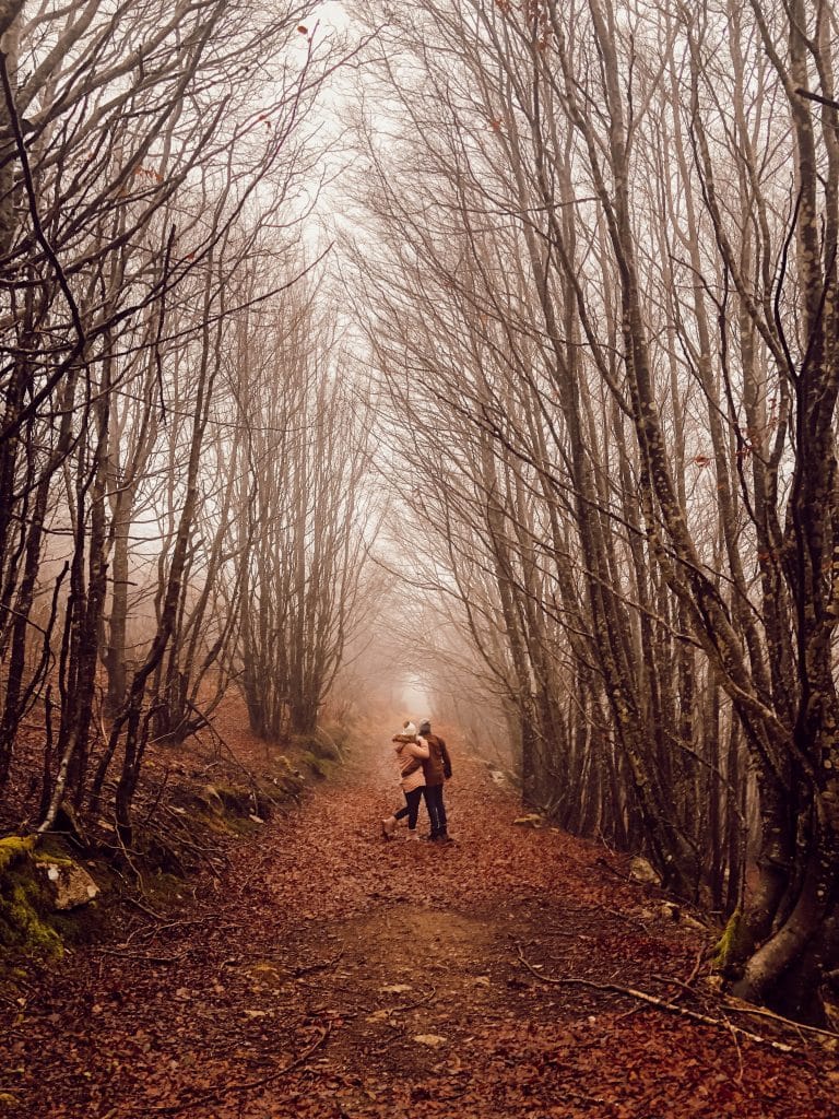 les monts de lacaune randonnées Tarn vacances