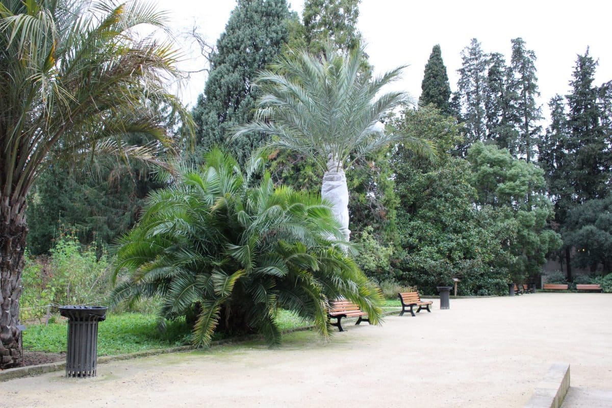 Jardin des plantes Toulouse